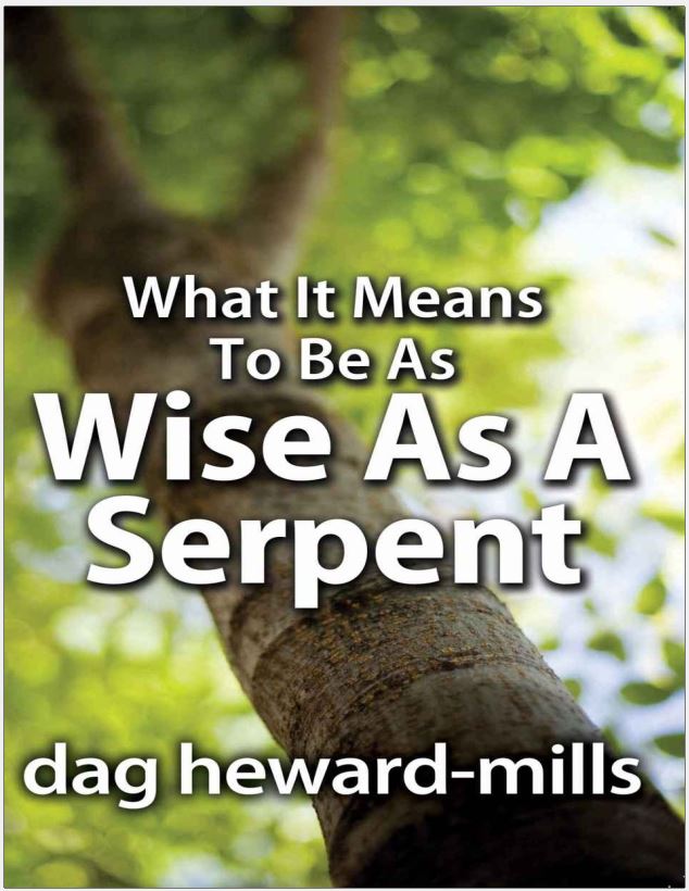 Cover of What It Means To Be As Wise As A Serpent